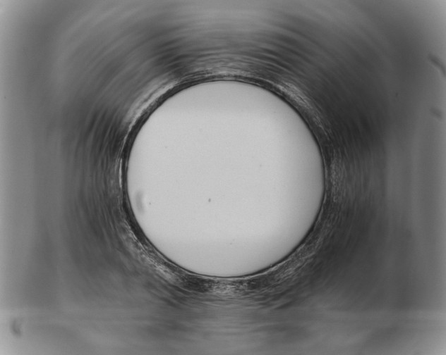 X0000102760790200809151013