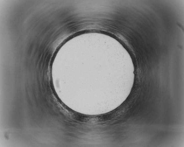 X0000102760791200809151013