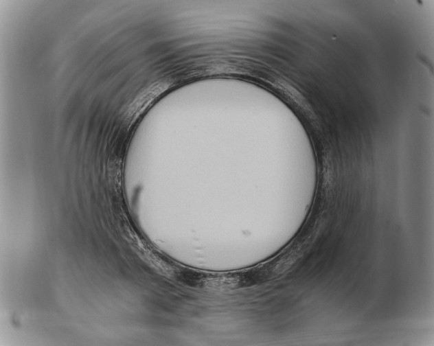 X0000102760793200809151013