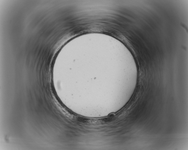 X0000102760795200809151013