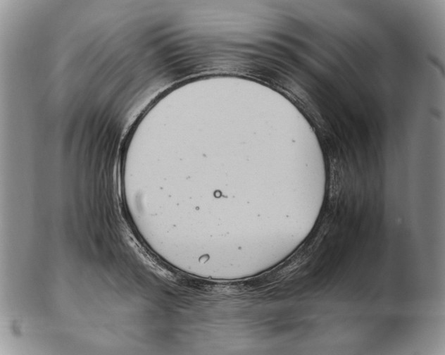 X0000102760796200809151013