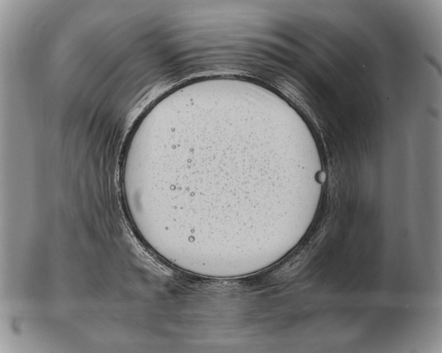 X0000102760797200809151013