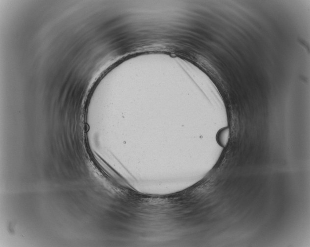 X0000102760800200809151013