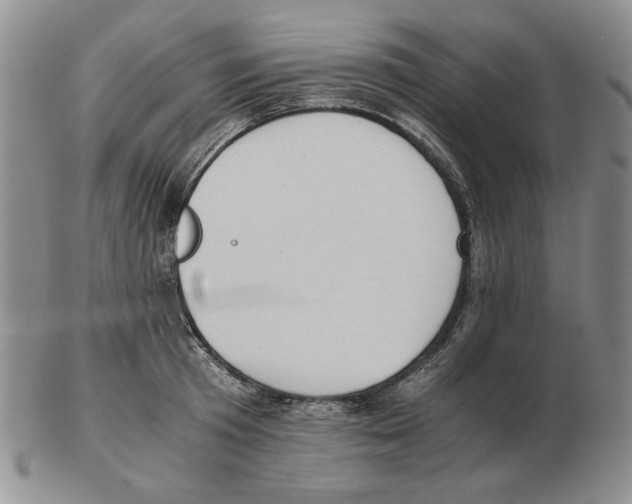 X0000102760801200809151013