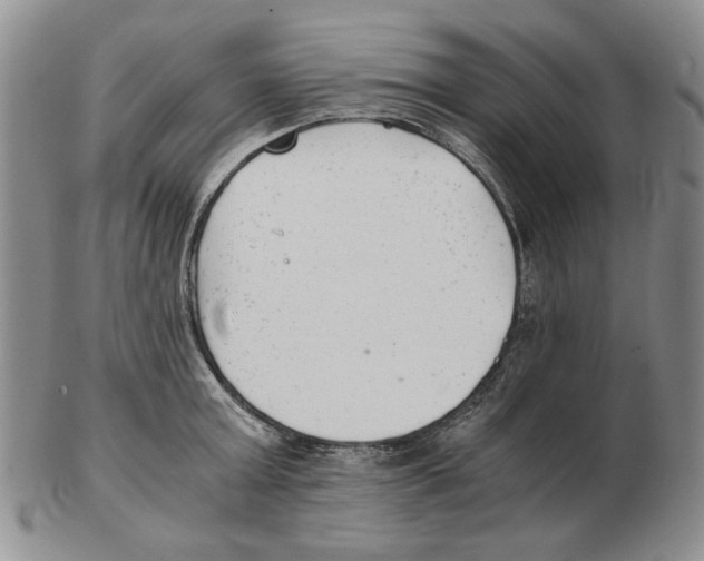 X0000102760803200809151013