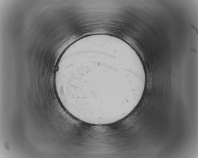 X0000102760805200809151013