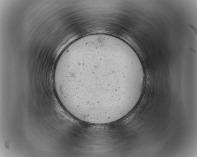 X0000102760806200809151013