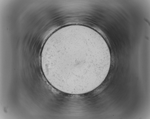 X0000102760807200809151013