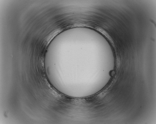 X0000102760809200809151013