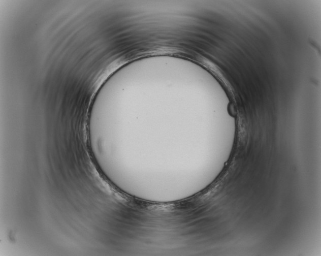 X0000102760810200809151013