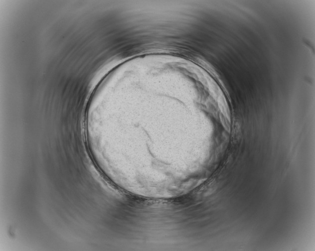 X0000102760811200809151013