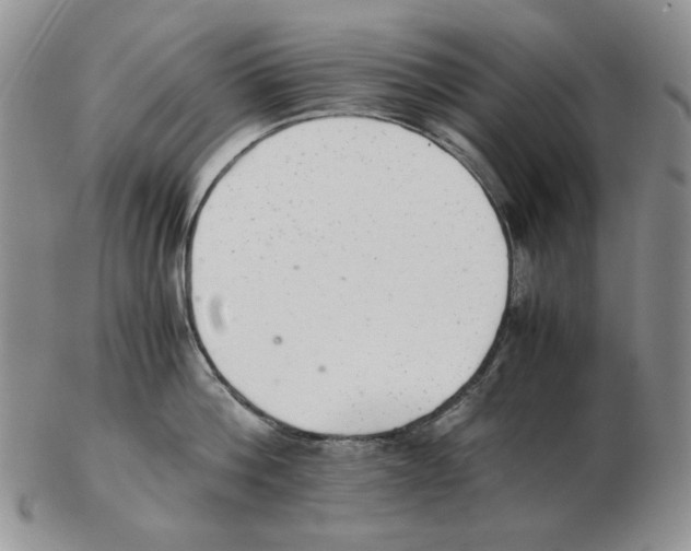 X0000102760812200809151013