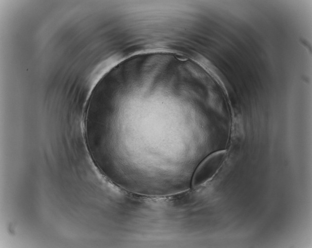 X0000102760813200809151013