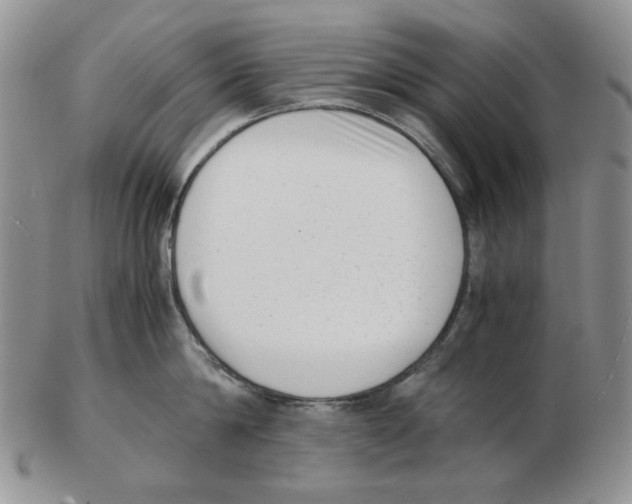 X0000102760814200809151013