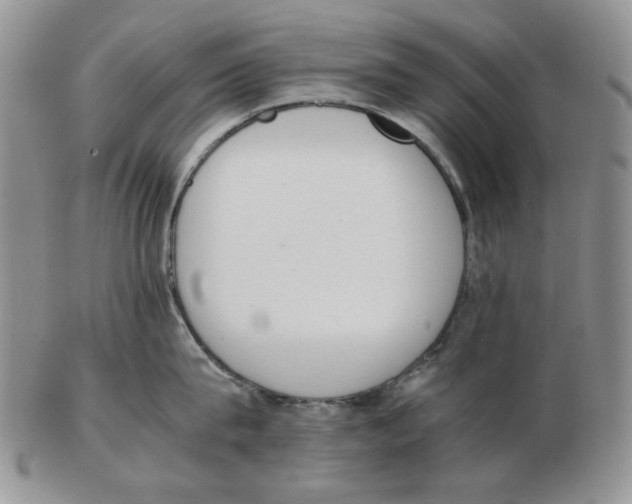 X0000102760815200809151013