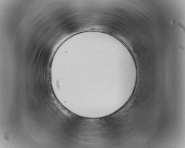 X0000102760816200809151013