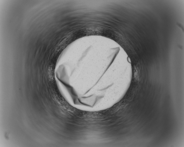 X0000102760819200809151012