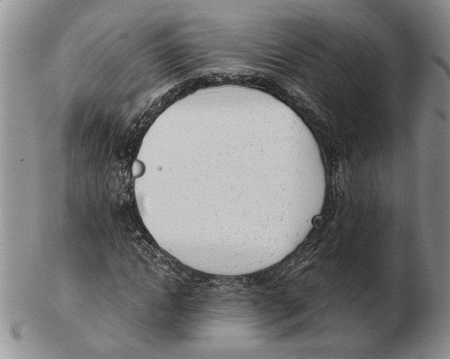 X0000102760822200809151012