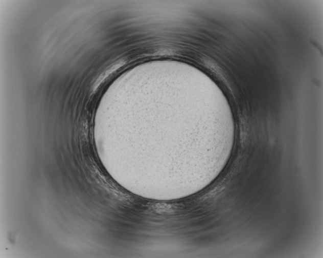 X0000102760827200809151012