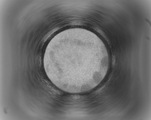 X0000102760829200809151012