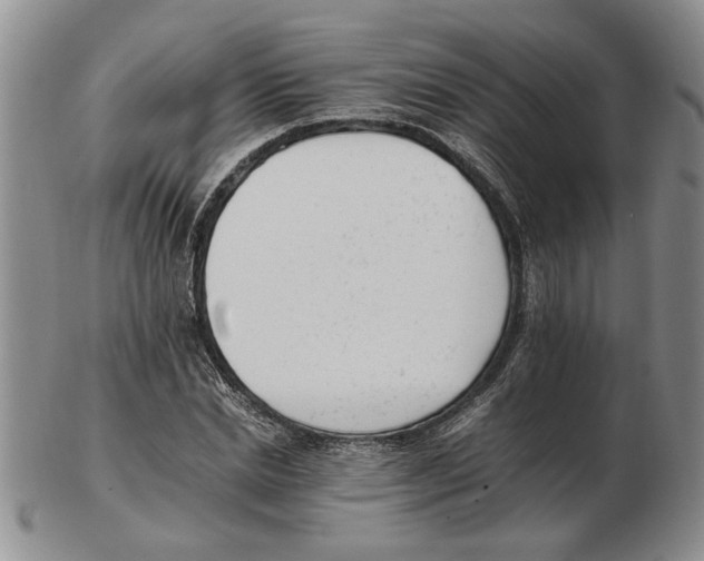 X0000102760830200809151012