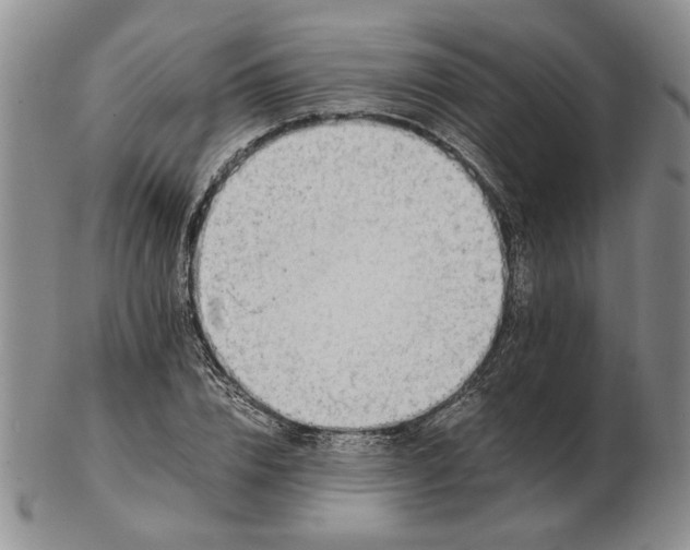 X0000102760832200809151012