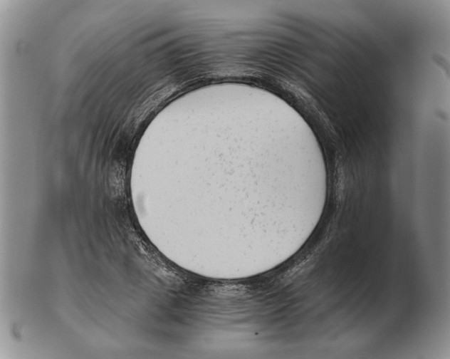 X0000102760833200809151012