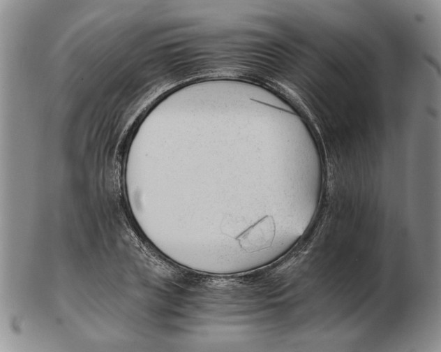 X0000102760835200809151012