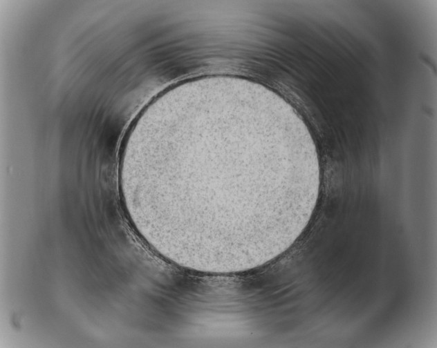 X0000102760836200809151012