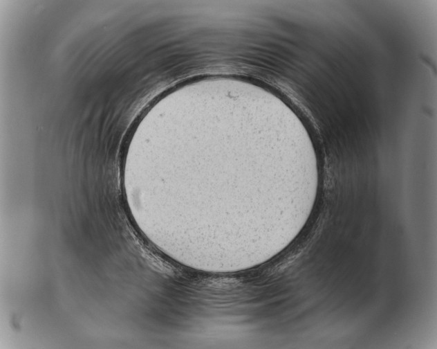 X0000102760837200809151012