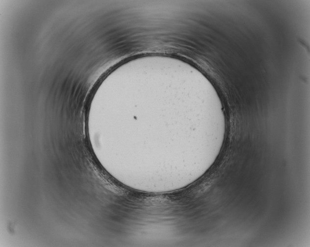 X0000102760838200809151012