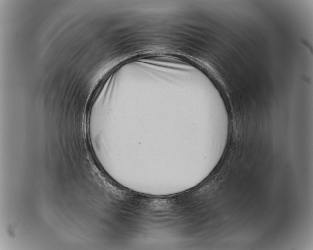 X0000102760839200809151012