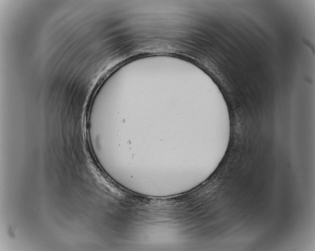 X0000102760840200809151012