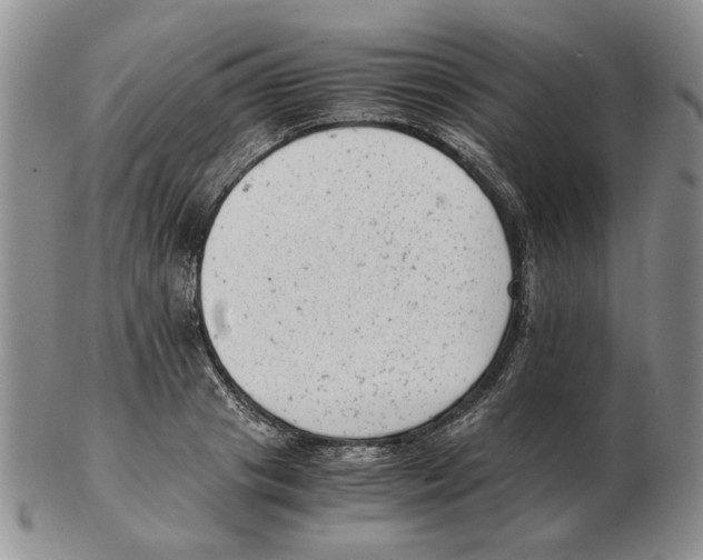 X0000102760841200809151012