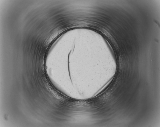 X0000102760842200809151012