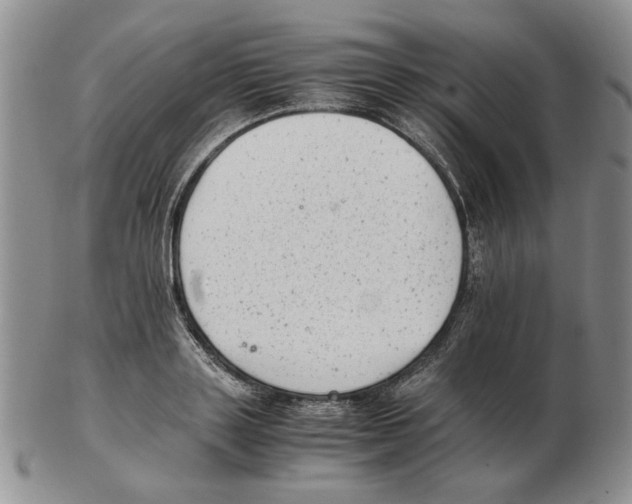 X0000102760843200809151012