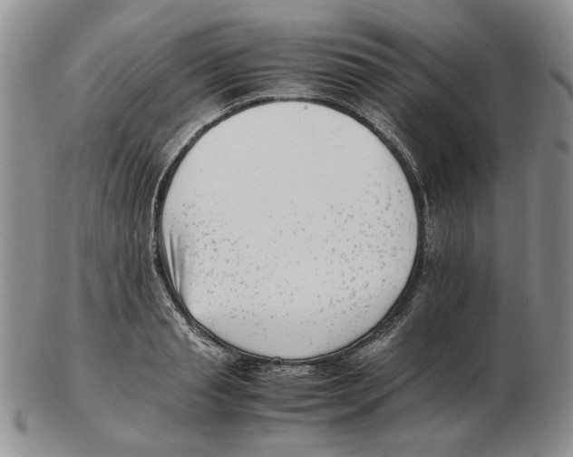 X0000102760845200809151012