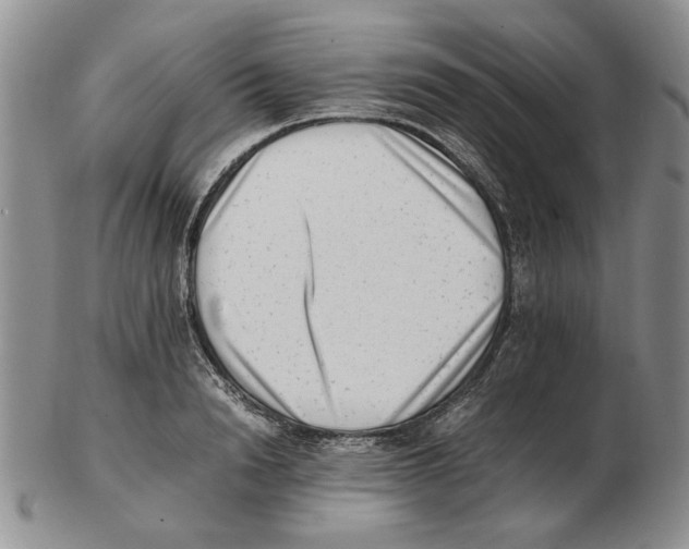 X0000102760846200809151012