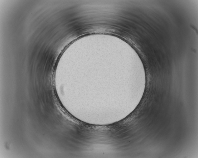 X0000102760848200809151012