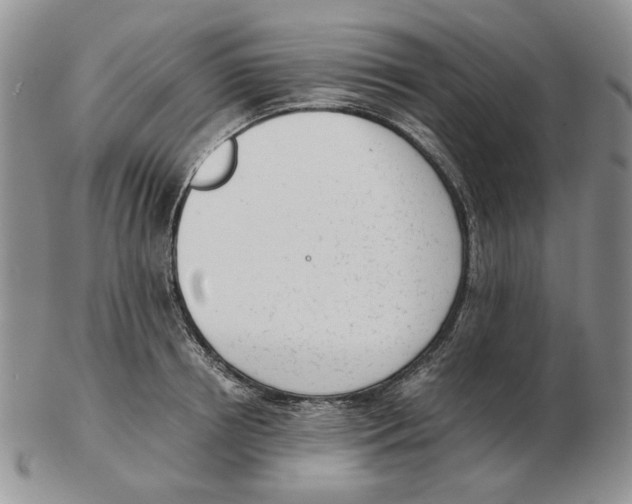 X0000102760850200809151012