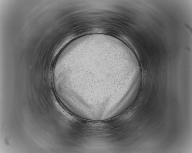 X0000102760851200809151012