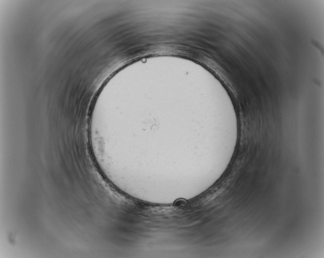 X0000102760853200809151012