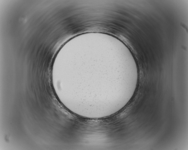 X0000102760854200809151012