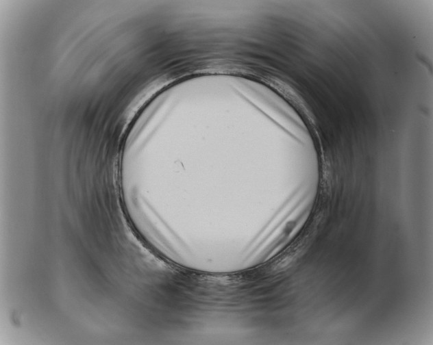 X0000102760855200809151012