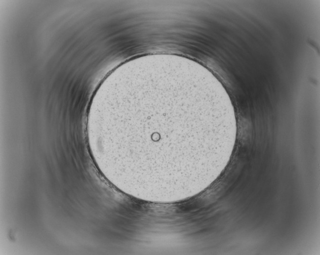 X0000102760856200809151013