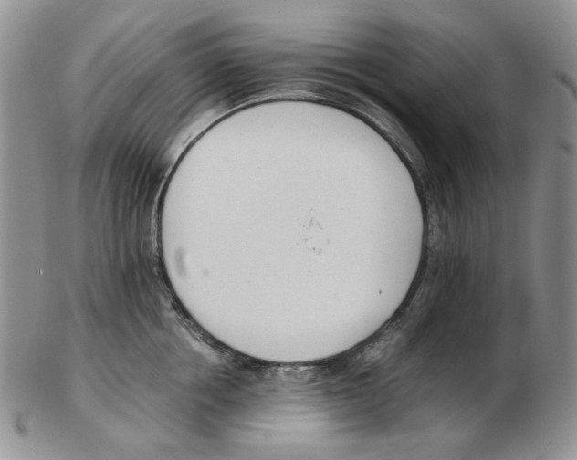 X0000102760858200809151013