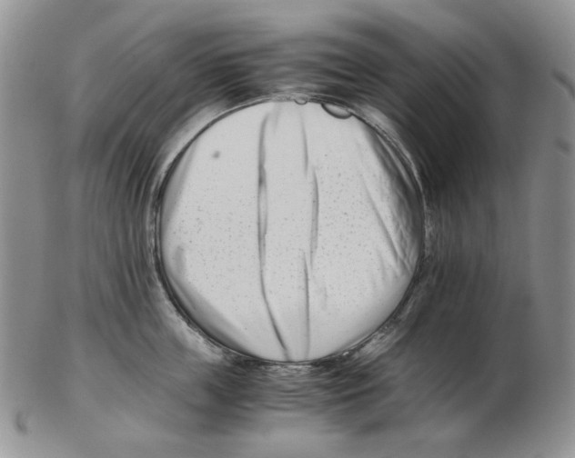 X0000102760859200809151013