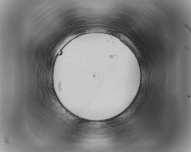 X0000102760860200809151013