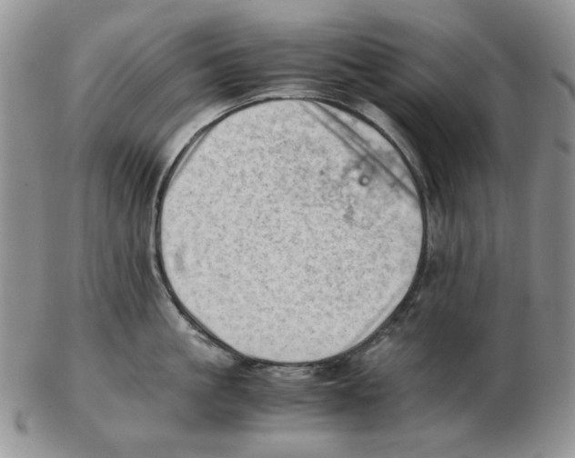 X0000102760861200809151013