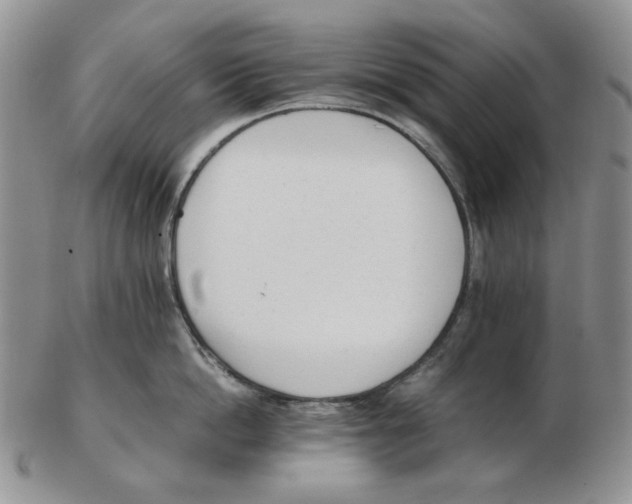 X0000102760862200809151013